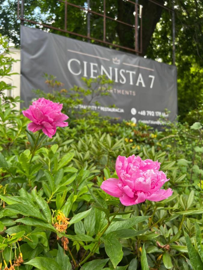 Cienista 7 Apartments Ladek-Zdroj Exterior foto